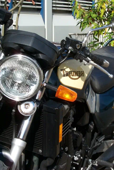 Nahaufnahme des Triumph-Schriftzugs und Scheinwerfers