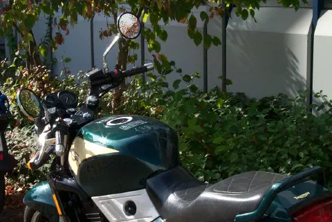 Triumph Trident 900, Tank und Sitzbank von der Seite