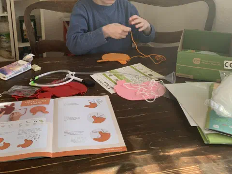 Kind näht Filz-Organe am Tisch mit Kiwi-Crate-Anleitung