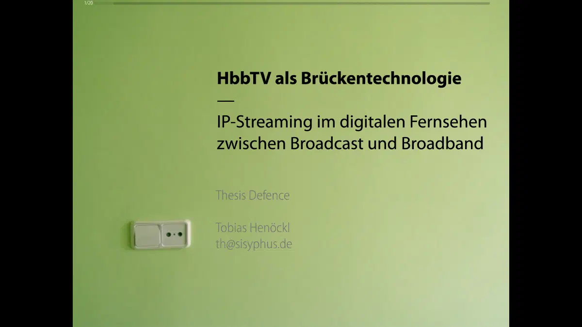 Master Thesis-Defense (2013)