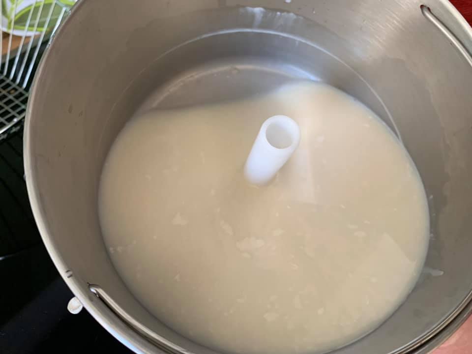 Joghurt aus Hafermilch